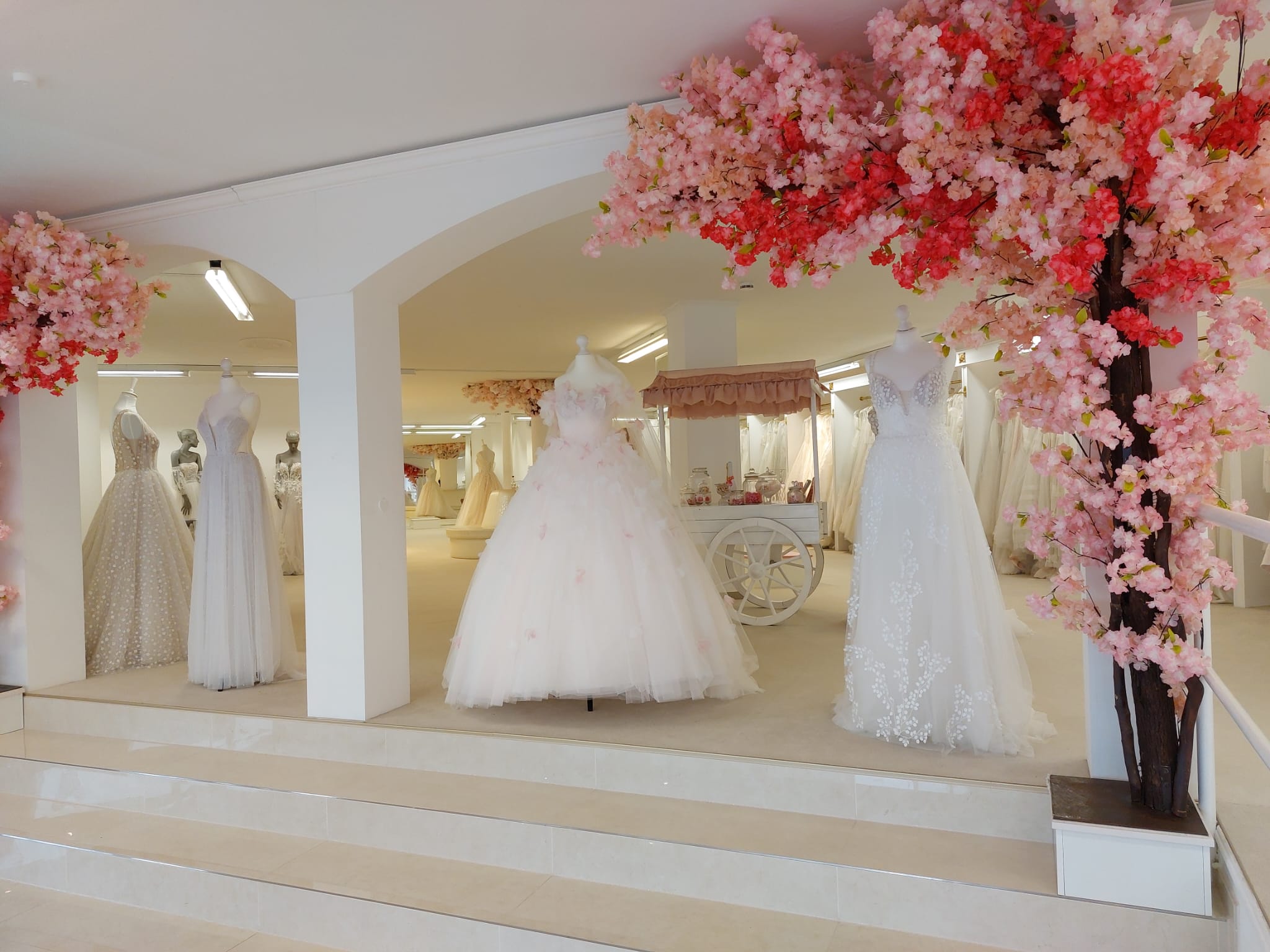 Wedding Team Store Schlangen